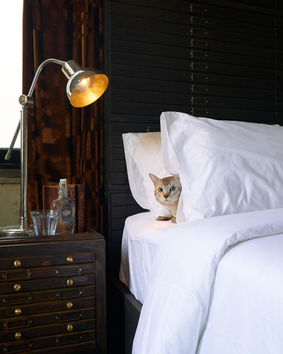 Bedroom 2, The Mustang Blu, Samphantawong