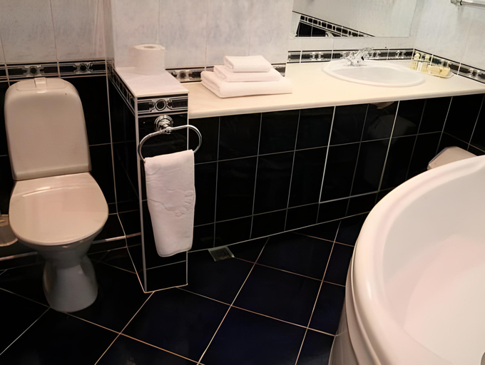 Bathroom 2, Congress Hotel Meridian, Murmansk gorod
