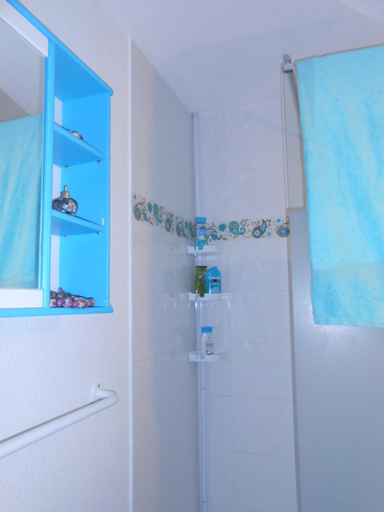 Bathroom 3, Palm Beach, Pyrénées-Orientales