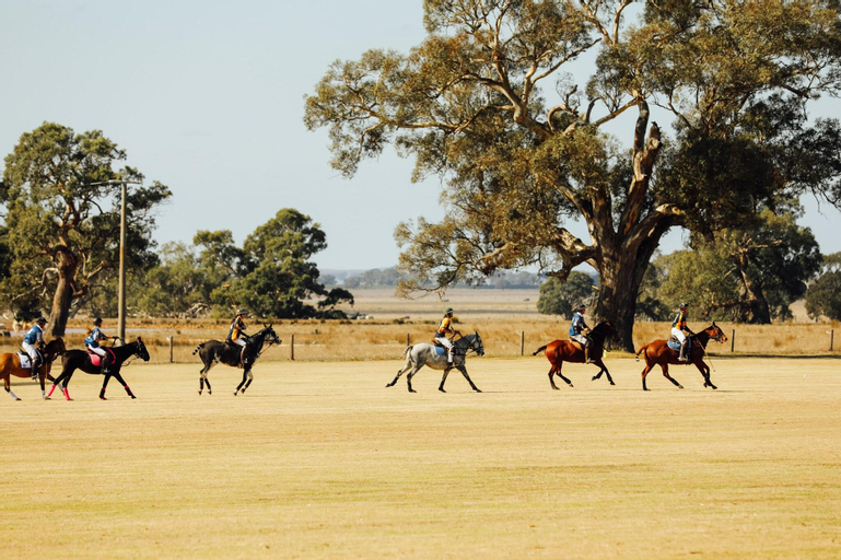 Mount Willam Station, Ararat