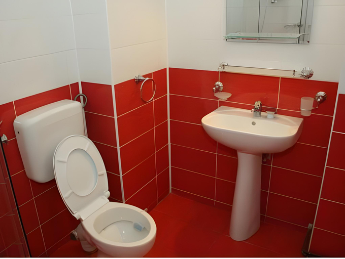 Bathroom 2, Casa Seciu, Boldesti-scaeni
