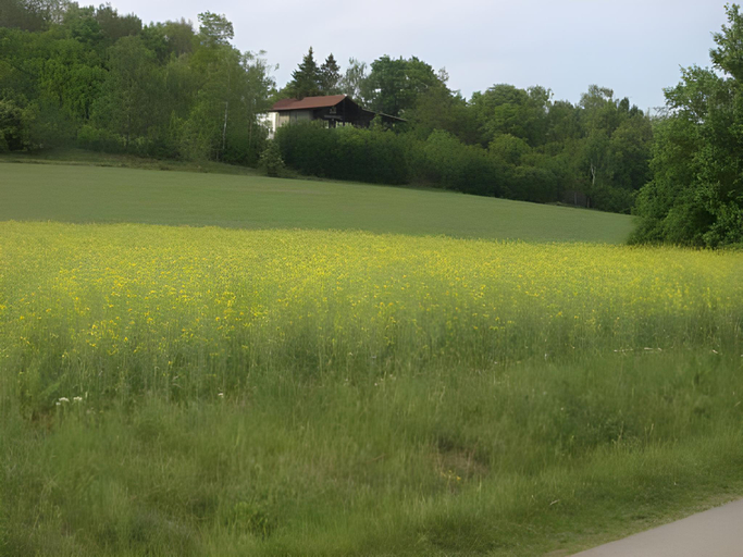 Others 4, Goldene Traube, Neustadt an der Aisch-Bad Windsheim