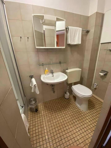 Bathroom 4, Hotel Alter Ritter, Ansbach