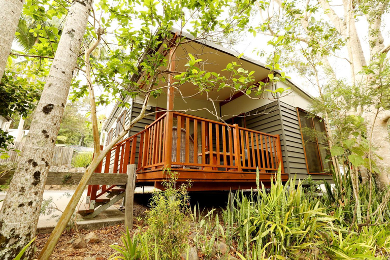 Mt Warning Rainforest Park, Tweed - Pt B