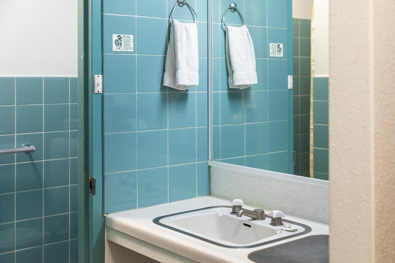 Bathroom 5, Red Carpet Motel, Mount Gambier