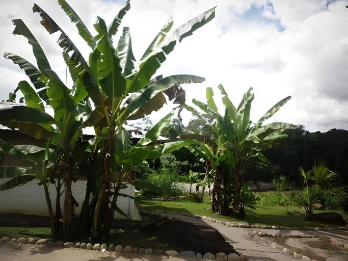 Others 5, Banana Lodge, Tena