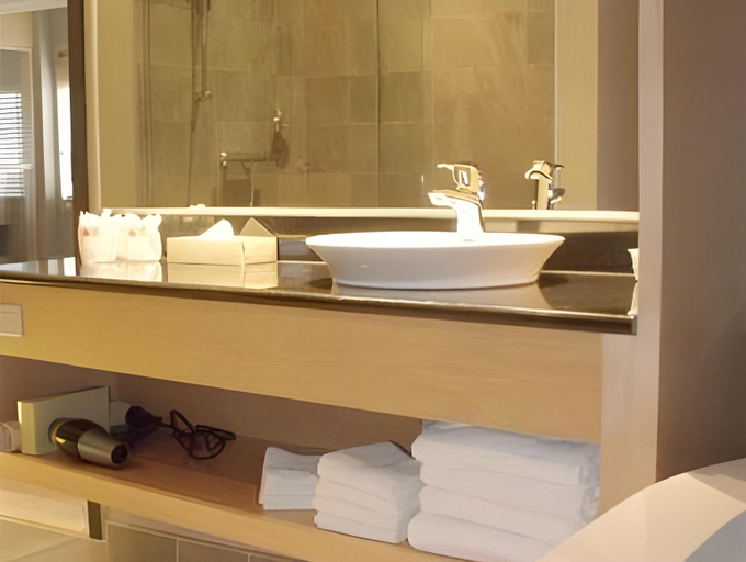 Bathroom 3, Le Dauphin St-Hyacinthe, Les Maskoutains