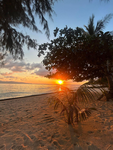 Others 5, Pinks Bungalow, Ko Phangan