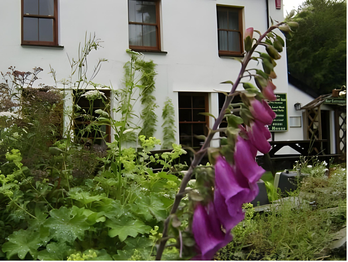 Exterior & Views 1, The Exmoor Forest Inn, Somerset