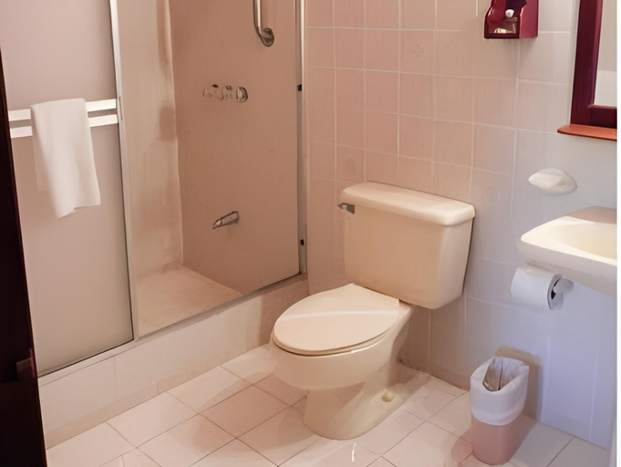 Bathroom 4, Hotel El Tucano Resort & Thermal Spa, San Carlos