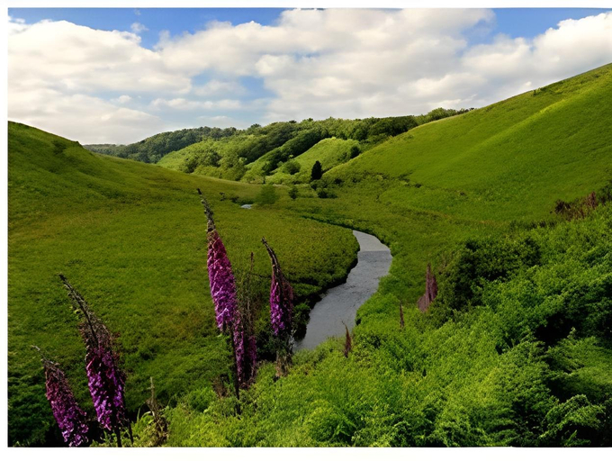 Others 5, The Exmoor Forest Inn, Somerset