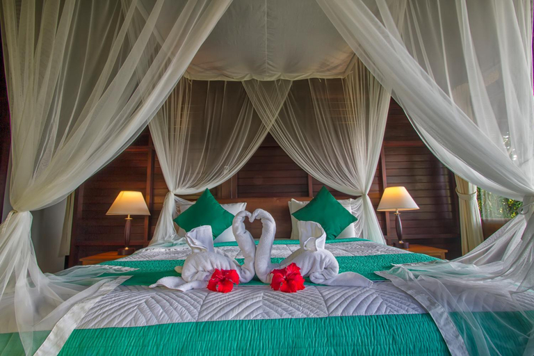 Bedroom 11