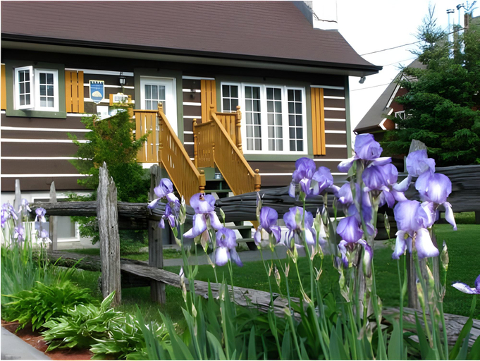 Others 5, Le Pimbina, Les Laurentides