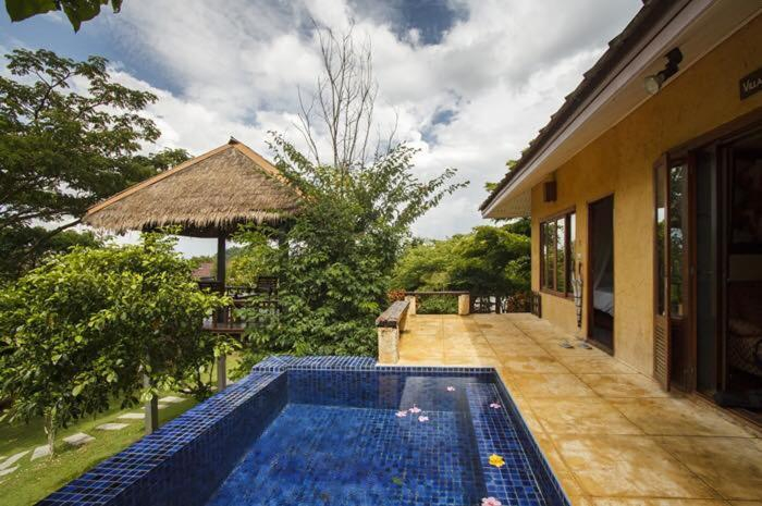 Swimming Pool 8