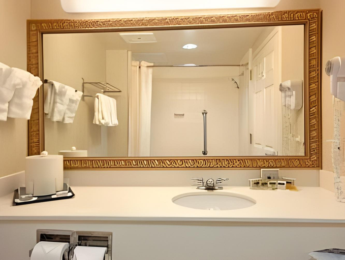 Bathroom 3, Holiday Inn Allentown-Bethlehem by IHG, Lehigh