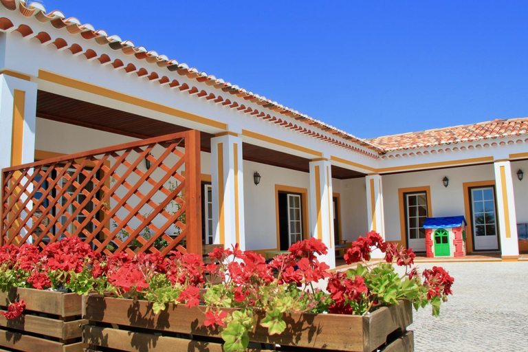 A Casa da Andorinha, Caldas da Rainha