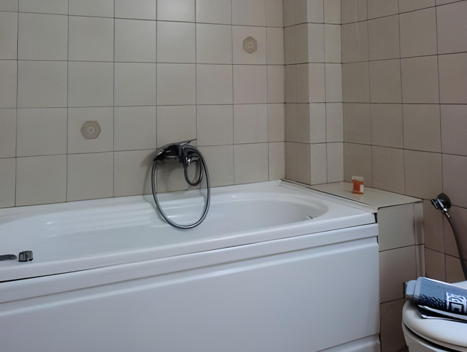 Bathroom 3, Asteri Metsovou, Epirus
