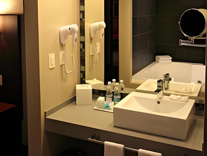 Bathroom 5, Hotel Novit, Mexico City