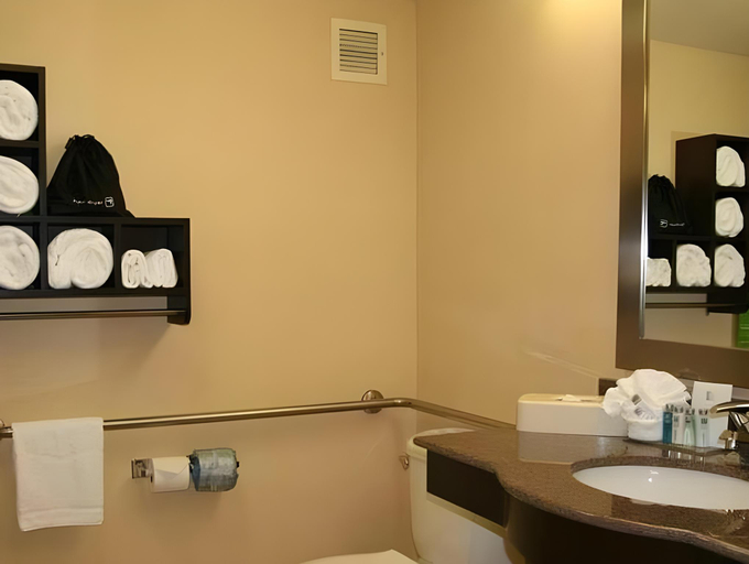Bathroom 4, Hampton Inn Oakland/Hayward, Alameda