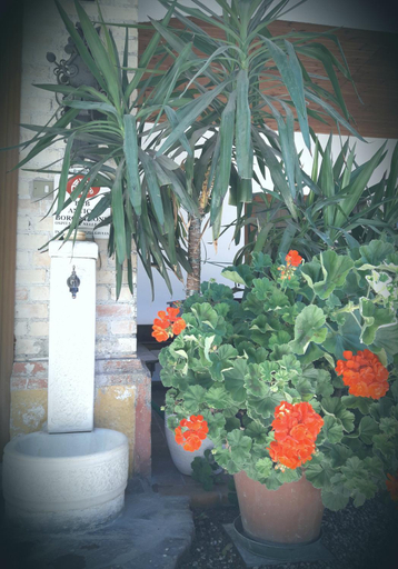 Others 3, Antico Borgo Leone, Pordenone