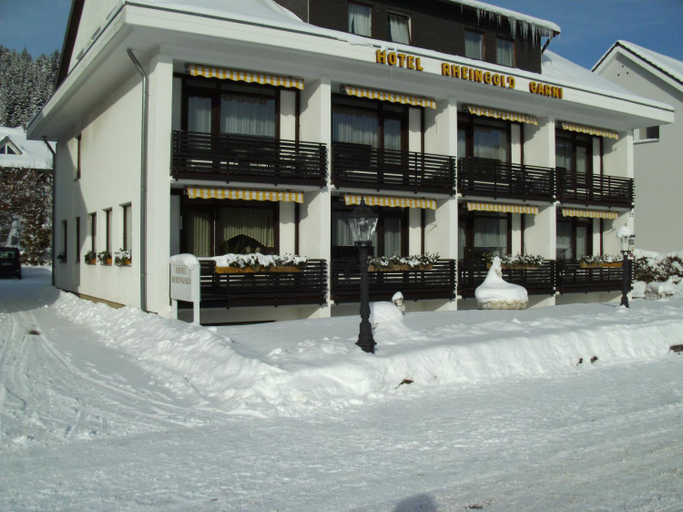 Others 5, Hotel Rheingold Garni, Breisgau-Hochschwarzwald