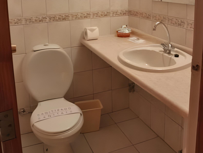 Bathroom 4, Lady Florence Dixie, Última Esperanza