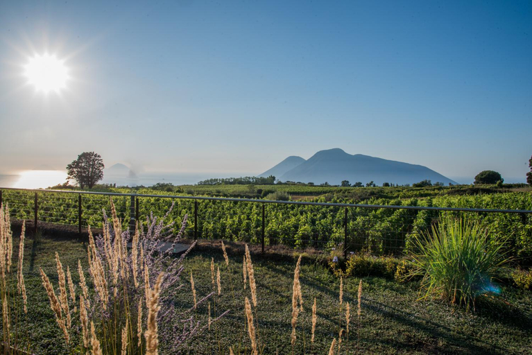 Others 5, Tenuta di Castellaro Winery & Resort, Messina