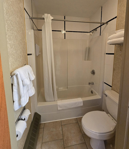 Bathroom 4, Lakeview Inn & Suites Hinton, Division No. 14