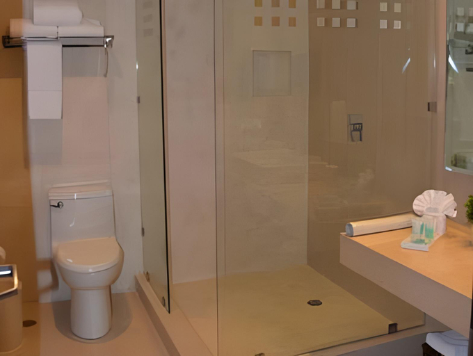 Bathroom 4, Elements Hotel Boutique, Managua