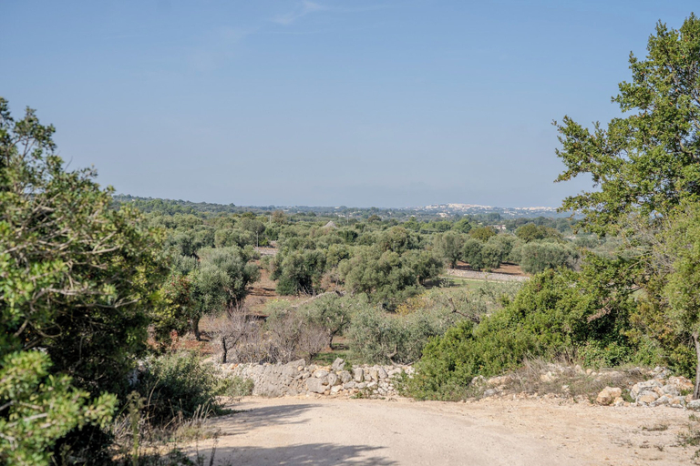 Others 5, Villa tra gli Ulivi - Ostuni, Brindisi