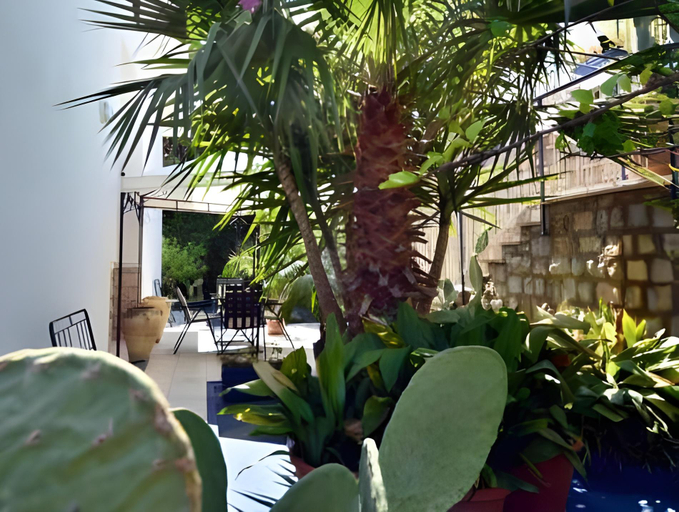 Food & Drinks 5, Blue Island Villa Caterina, Palermo