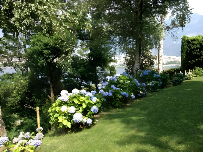 Others 5, Casa Sull'Albero, Lecco