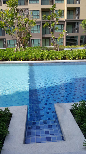 Swimming Pool 18