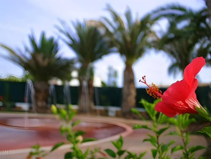 Others 5, Villas Finesse By MENORCARENTALS, Baleares