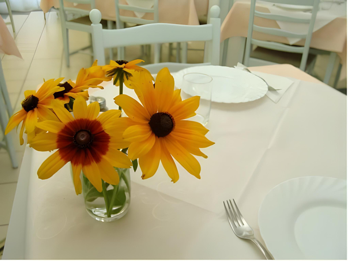Food & Drinks 4, Hotel Forras Zalakaros, Nagykanizsai/Zalakaros