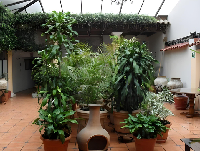 Others 4, Hotel San Luis, San Cristóbal de las Casas