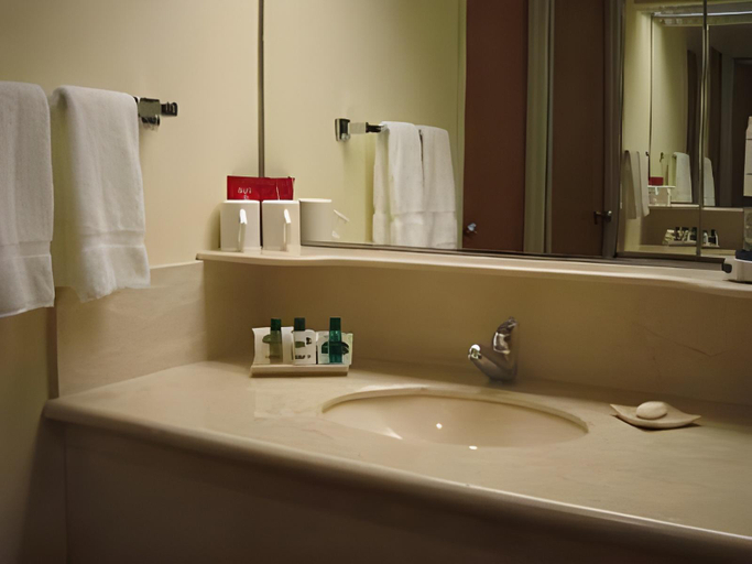 Bathroom 3, Hotel Villa Florida Puebla, San Andrés Cholula