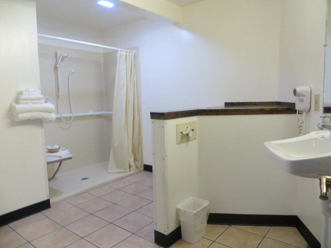Bathroom 4, Cadillac Inn, Wexford