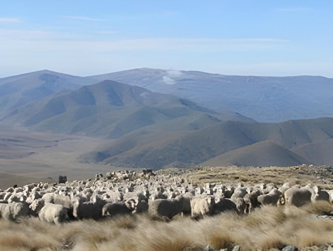 Others 5, Dunstan Downs High Country Sheep Station Farmstay & Backpackers, Waitaki
