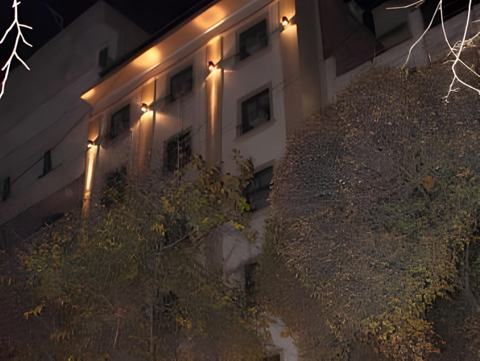 Others 5, Hotel Ariosto, Capital
