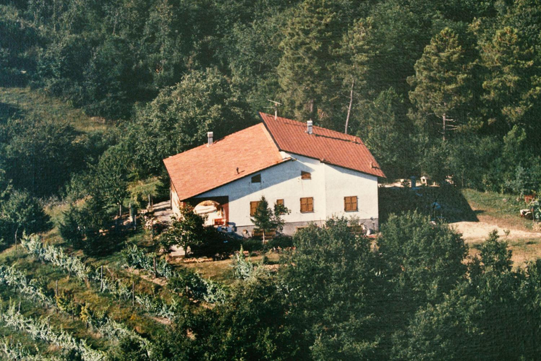 Exterior 3