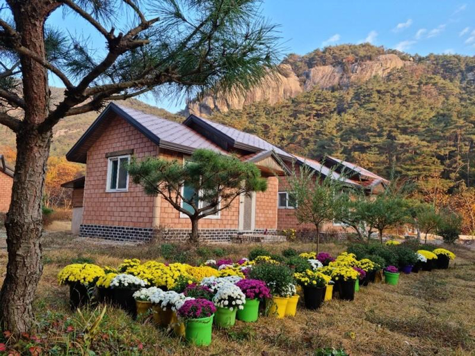 Others 5, Buan Atteul Pension, Buan
