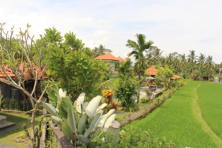 Scenery 1