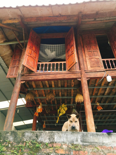 4, Shan Tea Homestay, Hà Giang