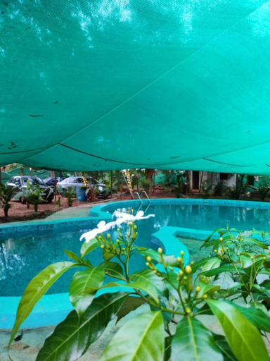 Swimming Pool 4