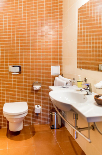 Bathroom 2, Hotel Pusyno Namai, Mažeikių