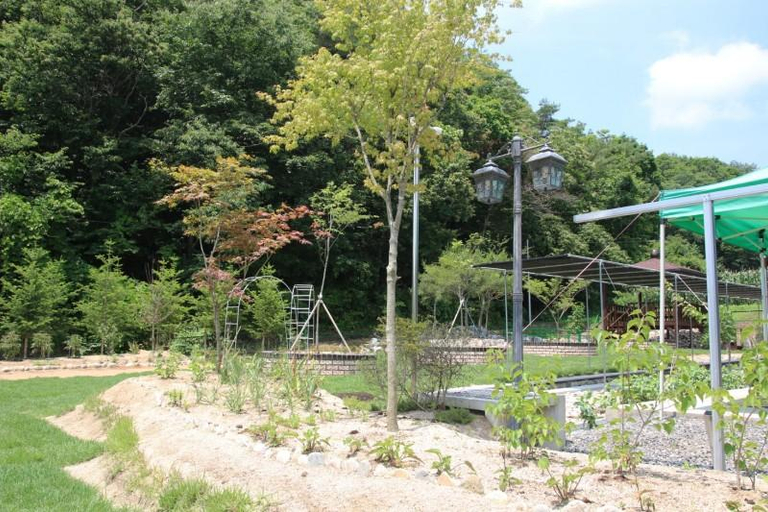 Others 4, Hoengseong Saesori Pension, Hoengseong