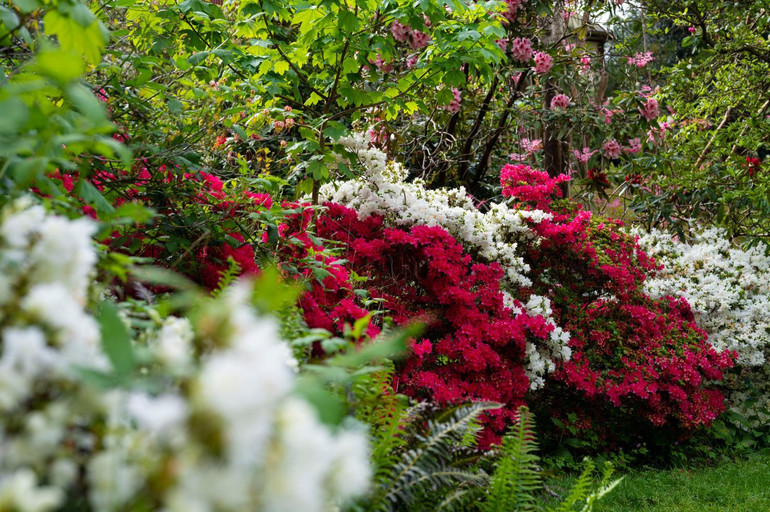 Others 3, Botanica Retreat, Yarra Ranges - Dandenongs