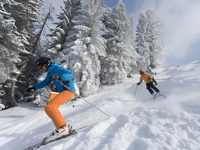 Others 4, Dachstein West Hotel GmbH-Kirchenwirt Russbach, Hallein
