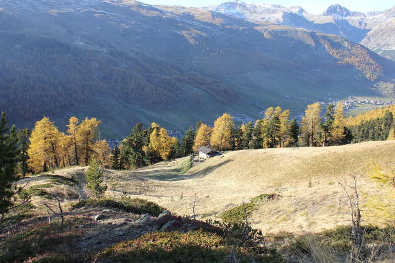 Others 4, B&B Via Vai, Sondrio